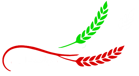 هوشمند امین